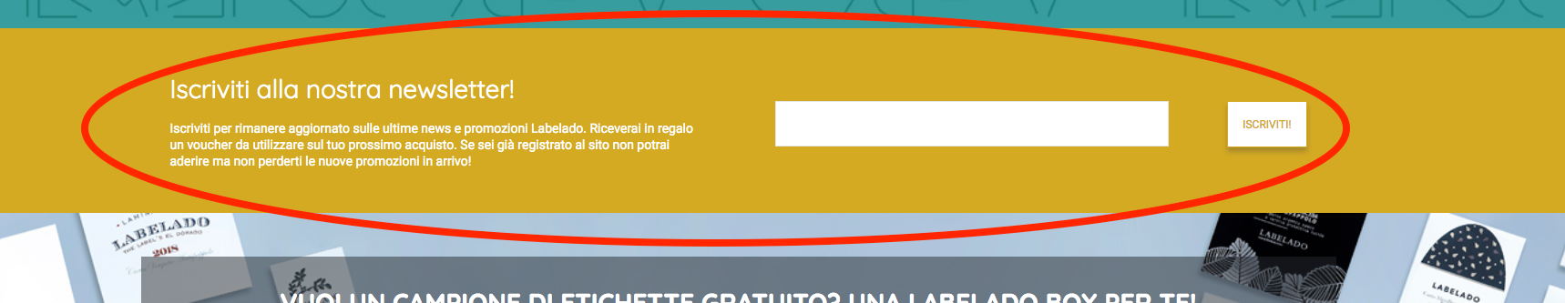 Minitesto per iscrizione alla newsletter - Labelado